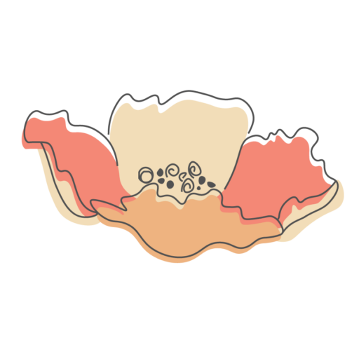 cropped-mohn2.png